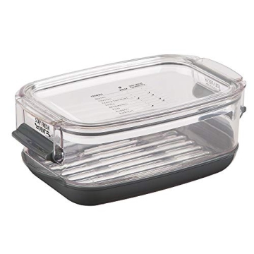 Progressive Berry ProKeeper 1.2-Quart Fresh Produce Keeper for Berries