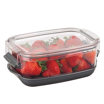 Progressive Berry ProKeeper Fresh Produce Container