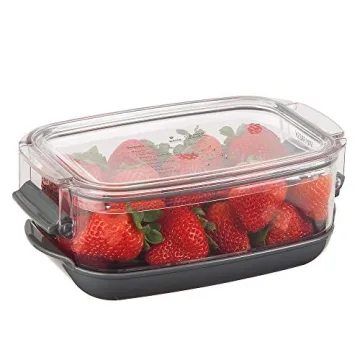 Progressive Berry ProKeeper Fresh Produce Container