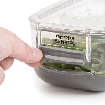 Progressive Berry ProKeeper Fresh Produce Container
