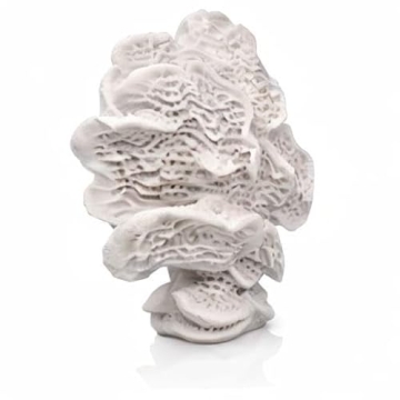 Stunning White Resin Faux Coral Decor for Coastal Spaces