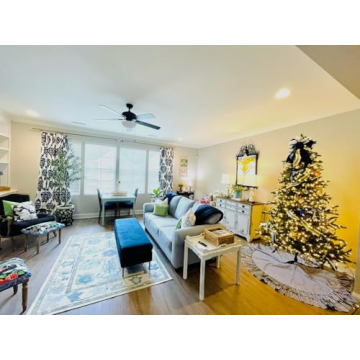 Green Oushak Rug for Modern and Vintage Decor