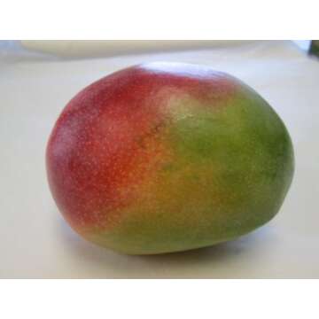 Fresh Mango Fruit Mangoes (9 Pounds)
