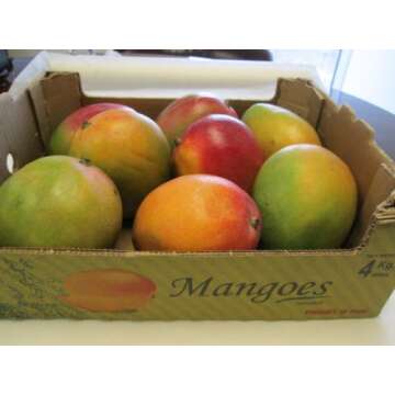 Fresh Mango Fruit Mangoes (9 Pounds)