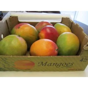 Fresh Mango Fruit Mangoes (9 Pounds)