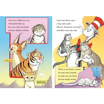 What Cat Is That? Fun Educational Cat Book for Kids