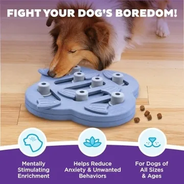 Outward Hound Dog Hide N' Slide Treat Puzzle Toy