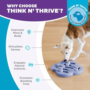 Outward Hound Dog Hide N' Slide Treat Puzzle Toy