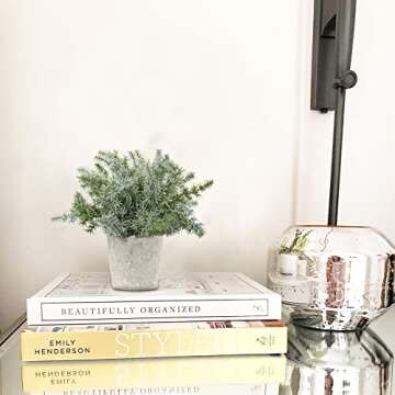 Briful Faux Potted Plants Set for Home and Office Decoration