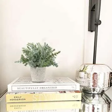 Briful Faux Potted Plants Set for Home and Office Decoration