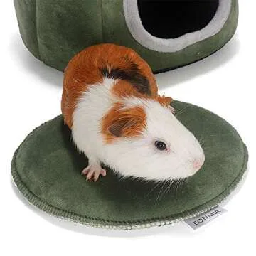Cozy Pumpkin-Shaped Guinea Pig and Hedgehog House