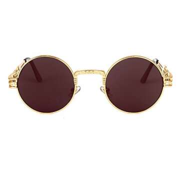 Round Steampunk Sunglasses Polarized for Women and Men Steam Punk Circle Metal Frame Coating Sun Glasses,Goldbrown,49
