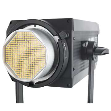 Nanlite FS-300 AC LED Monolight
