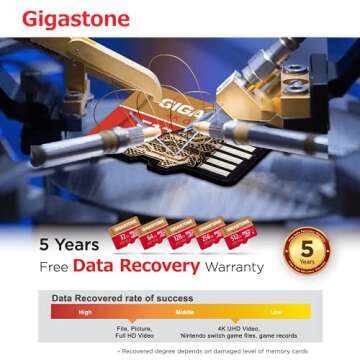 [5-Yrs Free Data Recovery] GIGASTONE 256GB Micro SD Card, 4K Camera Pro, A2 V30 for Smartphone, Gopro, Action Cams, 4K UHD Video, Nintendo-Switch Compatible, Up to 100MB/s, UHS-I U3 C10 with Adapter