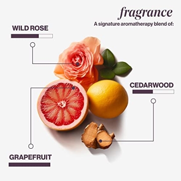 Pureology Pure Volume Shampoo | For Flat, Fine, Color Treated or Natural Hair | Adds Lightweight Volume and Body | Clarifies Buildup | Sulfate Free Shampoo | Vegan