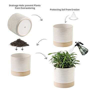 Nihow Ceramic Plant Pot: 6 Inch Planter with Drainage Hole & Saucer for Indoor & Outdoor Plants - Cylinder Round Flower Pot for Succulent/Herbs/Violets - Cream White & Brown