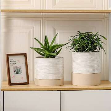 Nihow Ceramic Plant Pot: 6 Inch Planter with Drainage Hole & Saucer for Indoor & Outdoor Plants - Cylinder Round Flower Pot for Succulent/Herbs/Violets - Cream White & Brown