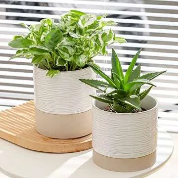 Nihow Self-Watering Ceramic Plant Pot for Indoor Plants