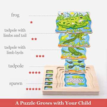 Wooden Puzzles for Kids Age 4-8, 5 Layers Life Cycle of a Frog Montessori Jigsaw Puzzle for Kids, Children Preschool Learning Educational Puzzles Toys for Boys and Girls