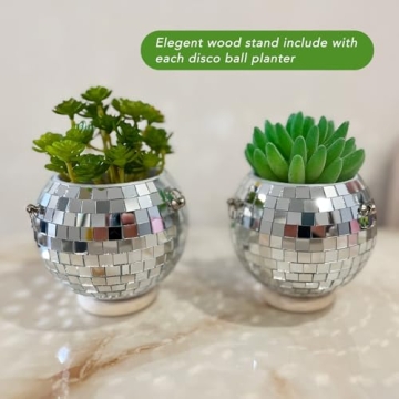 Vibrant ORIKASO 2 Pcs Disco Ball Planter for Gifts