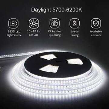 ALITOVE 24V LED Strip Lights Waterproof 32.8ft 1200 LEDs 2835 SMD Cool White 6000K Ultra Bright Outdoor LED Flexible Ribbon for Kitchen Garden Under-Cabinet Backyard(No Power Supply & Adhesive)