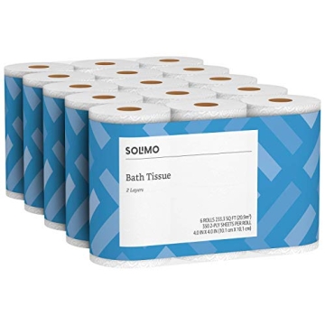 Affordable Solimo 2-Ply Toilet Paper for All Your Needs