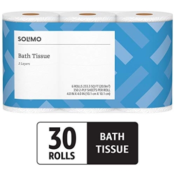 Affordable Solimo 2-Ply Toilet Paper for All Your Needs