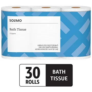 Affordable Solimo 2-Ply Toilet Paper for All Your Needs