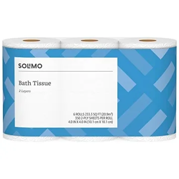Affordable Solimo 2-Ply Toilet Paper for All Your Needs