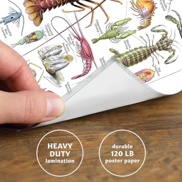 Vintage Aquatic Invertebrates & Crustaceans Poster Set