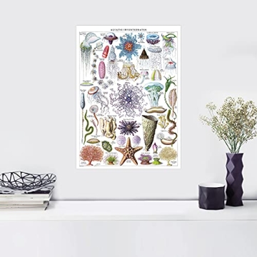 Vintage Aquatic Invertebrates & Crustaceans Poster Set