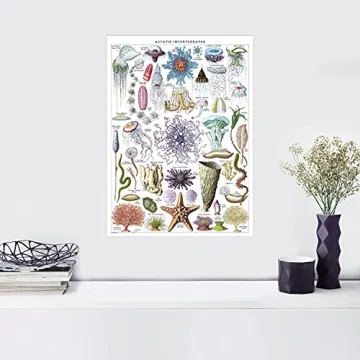 Vintage Aquatic Invertebrates & Crustaceans Poster Set