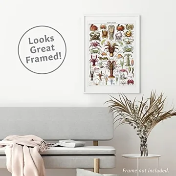 Vintage Aquatic Invertebrates & Crustaceans Poster Set