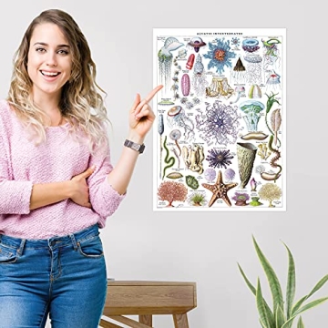 Vintage Aquatic Invertebrates & Crustaceans Poster Set