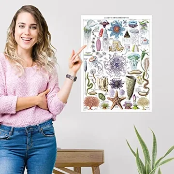 Vintage Aquatic Invertebrates & Crustaceans Poster Set