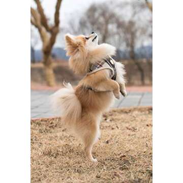 puppia Junior Over-The-Head Dog Harness Checkered Pattern No Choke No Pull Adjustable Chest Belt Walking Training for Small and Medium Dog, Small, Beige