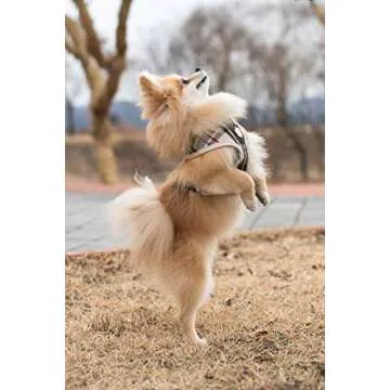 puppia Junior Over-The-Head Dog Harness Checkered Pattern No Choke No Pull Adjustable Chest Belt Walking Training for Small and Medium Dog, Small, Beige