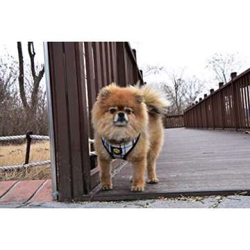 puppia Junior Over-The-Head Dog Harness Checkered Pattern No Choke No Pull Adjustable Chest Belt Walking Training for Small and Medium Dog, Small, Beige