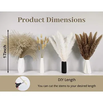 Premium Pampas Grass for Elegant Home Decor
