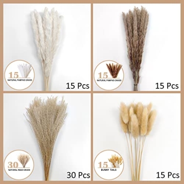 Premium Pampas Grass for Elegant Home Decor