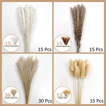 Premium Pampas Grass for Elegant Home Decor