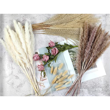 Premium Pampas Grass for Elegant Home Decor
