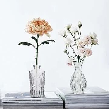 RUCKACE Small Clear Bud Vases Bulk 12 Pack Mini Flower Glass Vases for Centerpiece Table Wedding Decorations Home Decor Party(Transparent)