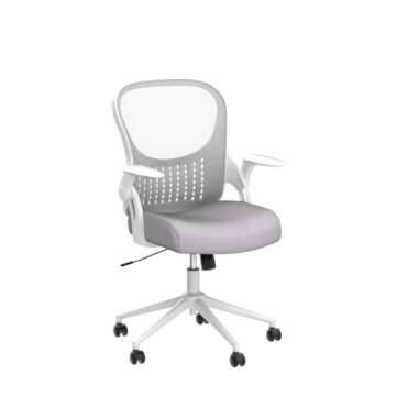 Affordable Ergonomic Office Chair with Adjustable Features