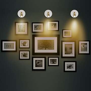 BERGUSTCH Battery Operated LED Spotlight, Picture Light with Remote, Indoor Up Lights, Display Lights, Picture Paintings Lights, Accent Lights for Frame Dartboard Portrait Artwork-White