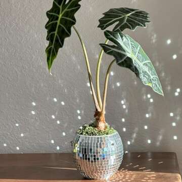 Filtrum Home Disco Ball Planter - Self-Watering Hanging Pot