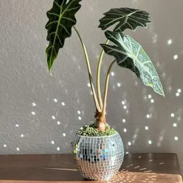 Filtrum Home Disco Ball Planter - Self-Watering Hanging Pot