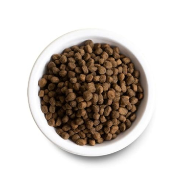 Open Farm Grain-Free Dry Puppy Food, Healthy & Delicious