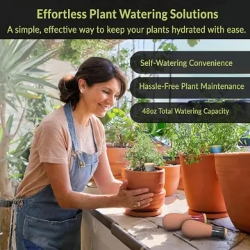 SmartiLiving Ollas | 12oz Terracotta Self Watering Globes