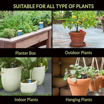 SmartiLiving Ollas | 12oz Terracotta Self Watering Globes